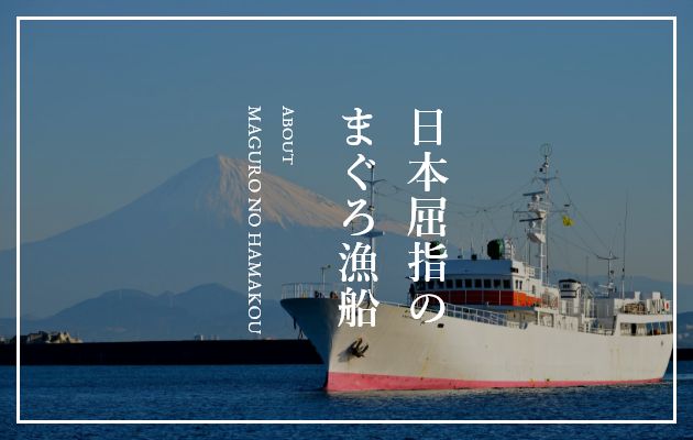 日本有数の鮪船団欣栄丸（きんえいまる）について